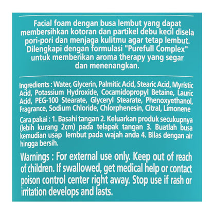 Ariul Smooth & Pure Cleansing Facial Foam, 120ml