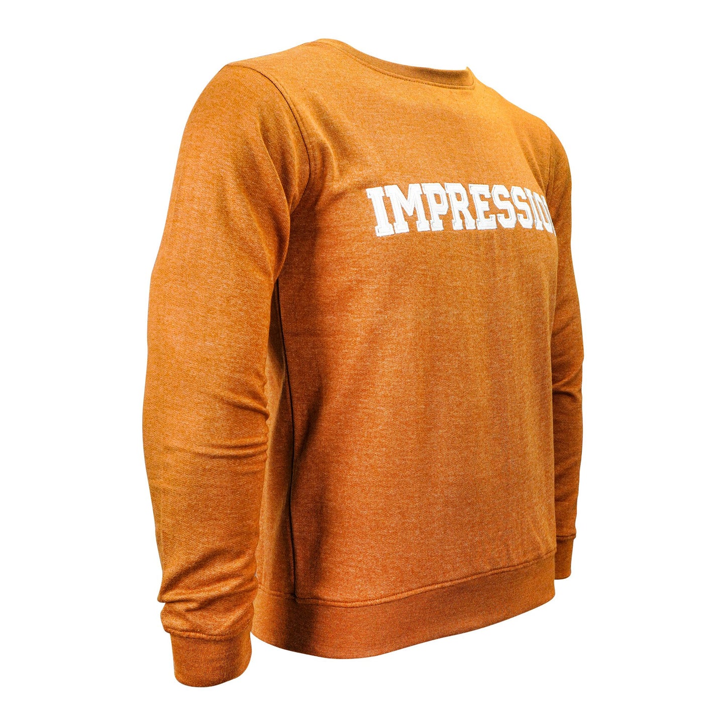 Basix Golden Brown Impression Embroidered Sweatshirt, For Men, MSS-604