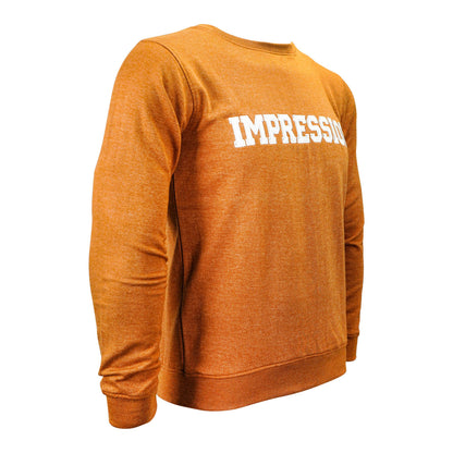 Basix Golden Brown Impression Embroidered Sweatshirt, For Men, MSS-604