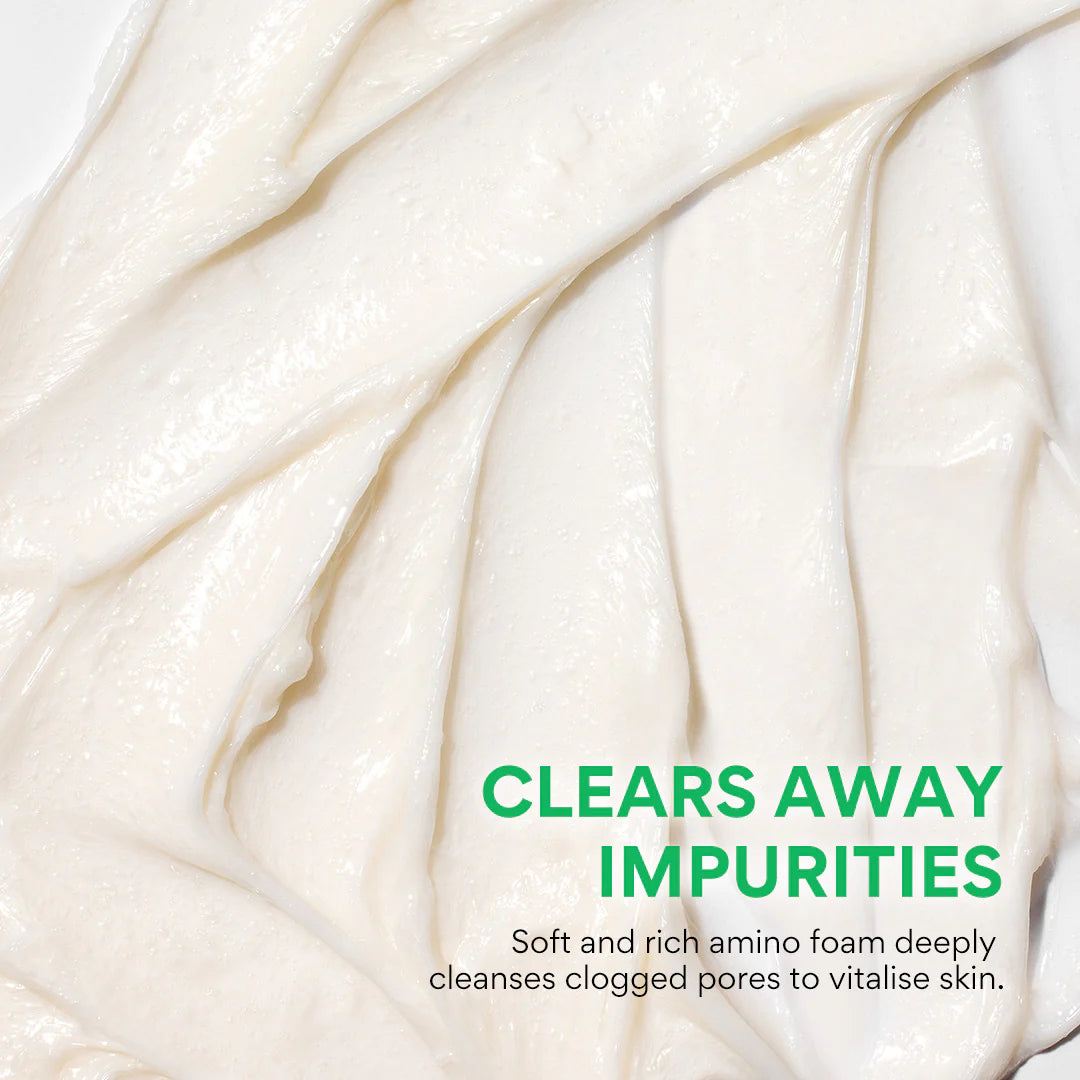 Innisfree Hydrating Cleansing Foam, Vegan, Green Tea + Amino Acid, For Hydrating & Moisturizing, 150g