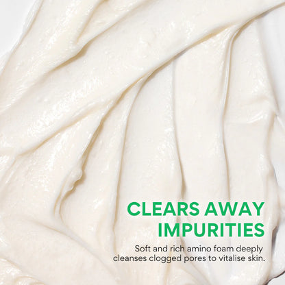 Innisfree Hydrating Cleansing Foam, Vegan, Green Tea + Amino Acid, For Hydrating & Moisturizing, 150g