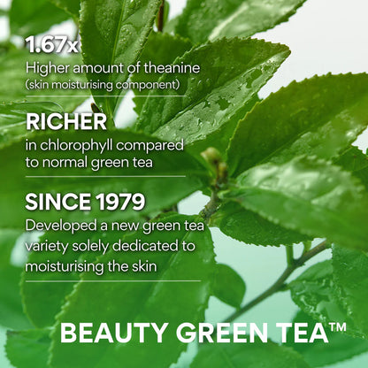 Innisfree Hydrating Cleansing Foam, Vegan, Green Tea + Amino Acid, For Hydrating & Moisturizing, 150g
