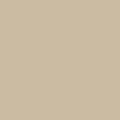 Basix Regular Fit Cotton Formal Dress Pant, Khaki